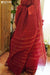 Shania Signature Seven Handloom Red Bangalore Pure Cotton Saree - Seven Sarees - Saree - Seven Sarees