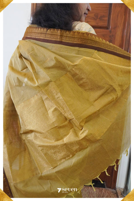 Sindhuja Madurai Off - White Pure Cotton Saree - Seven Sarees - Saree - Seven Sarees