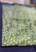 Soft Thistle Jaipur Green Handblock 100% Cotton Saree - Seven Sarees - Saree - Seven Sarees