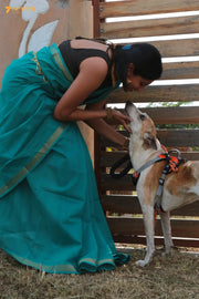 Amrita Mangalagiri Handloom Green Pure Cotton Saree - Seven Sarees - Saree - Seven Sarees