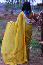 Tamalapaku Handloom Venkatagiri 100% Silk Cotton Yellow Saree - Seven Sarees - Seven Sarees