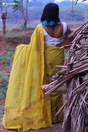 Tamalapaku Handloom Venkatagiri 100% Silk Cotton Yellow Saree - Seven Sarees - Seven Sarees