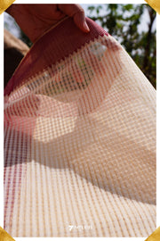 Veenavani Mangalagiri Handloom Sandal/Red Pure Cotton Saree - Seven Sarees - Saree - Seven Sarees